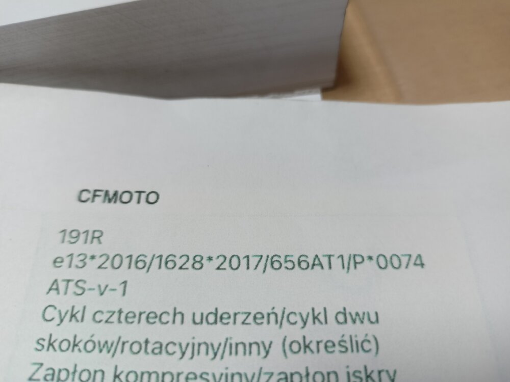 Homo.jpg